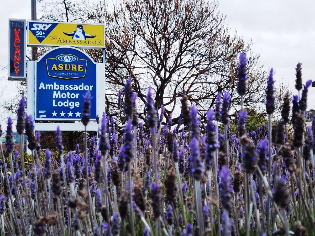 Asure Ambassador Motor Lodge Оамару Екстериор снимка